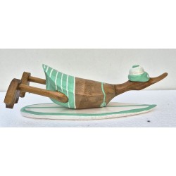 canard surfeur couché vert