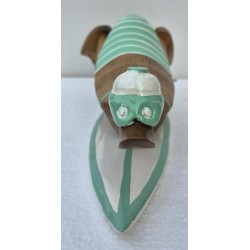 canard surfeur couché vert