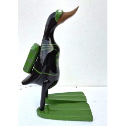 canard plongeur noir&vert