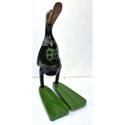 canard plongeur noir&vert
