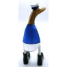 canard capitaine