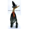 ducky potter canard