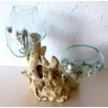 double vase terrarium 15/20cm