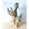 double vase aquarium 15/20cm