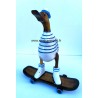canard skater bleu