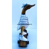 canard skater bleu