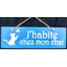 Cadre habite chat bleu