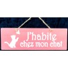 Cadre habite chat rose