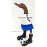 canard foot