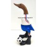 canard foot