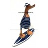 canard surfeur bleu