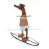 canard surfeur blanc