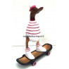 canard skater rouge