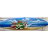 planche de surf 50cm airbrush